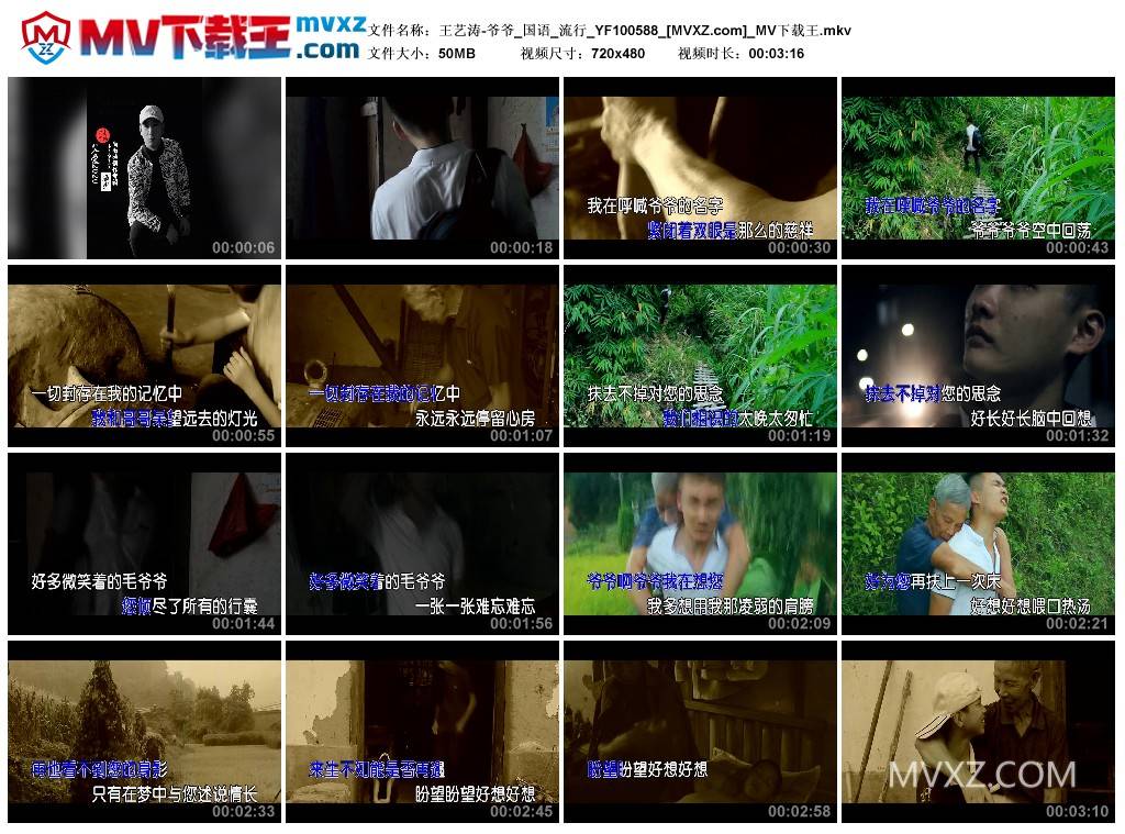 王艺涛-爷爷_国语_流行_YF100588